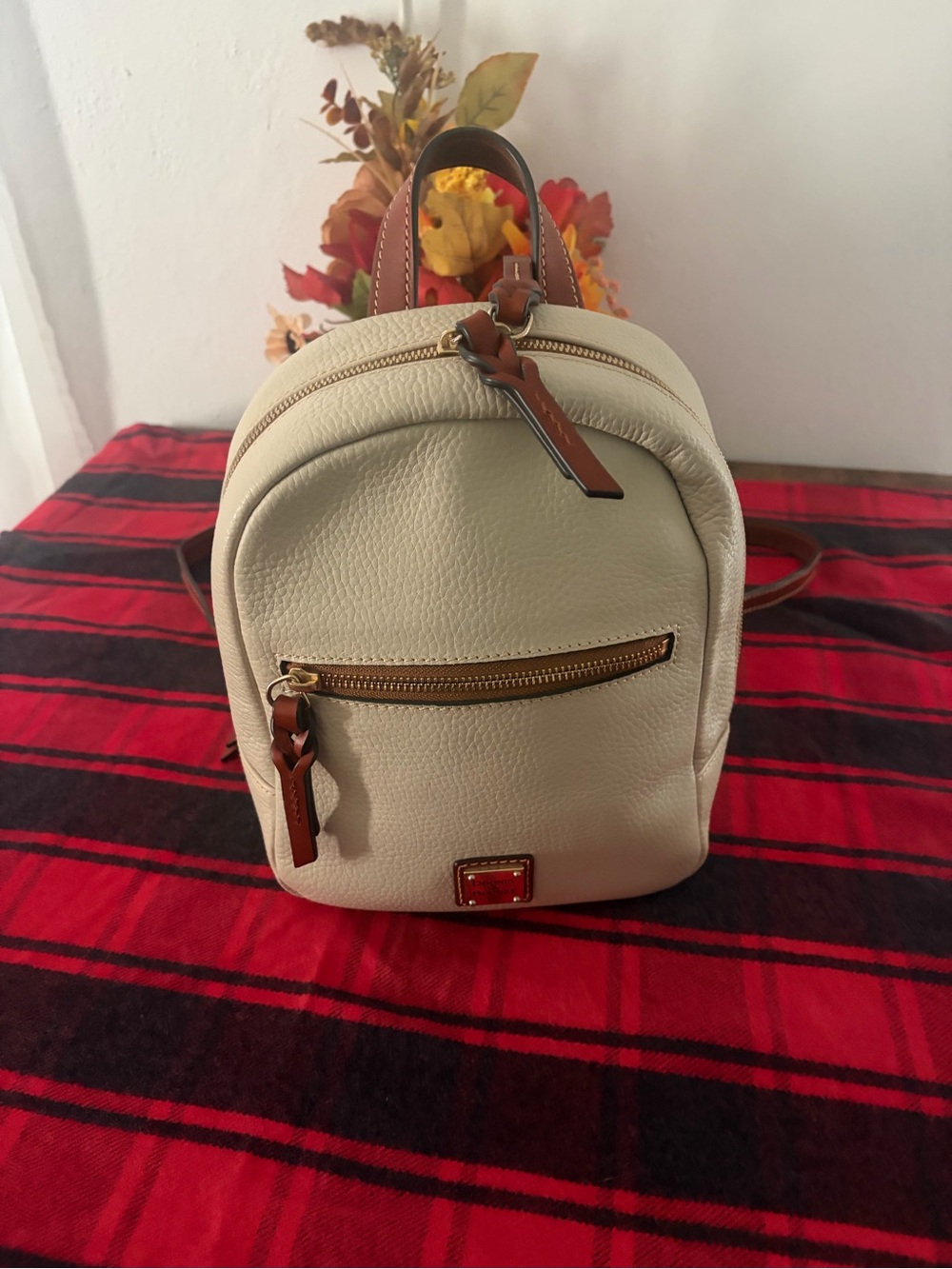 Dooney and Bourke backpack